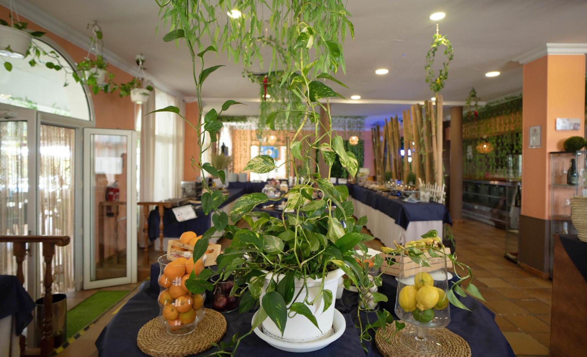 Mazagón Hotel Albaida Nature מראה חיצוני תמונה