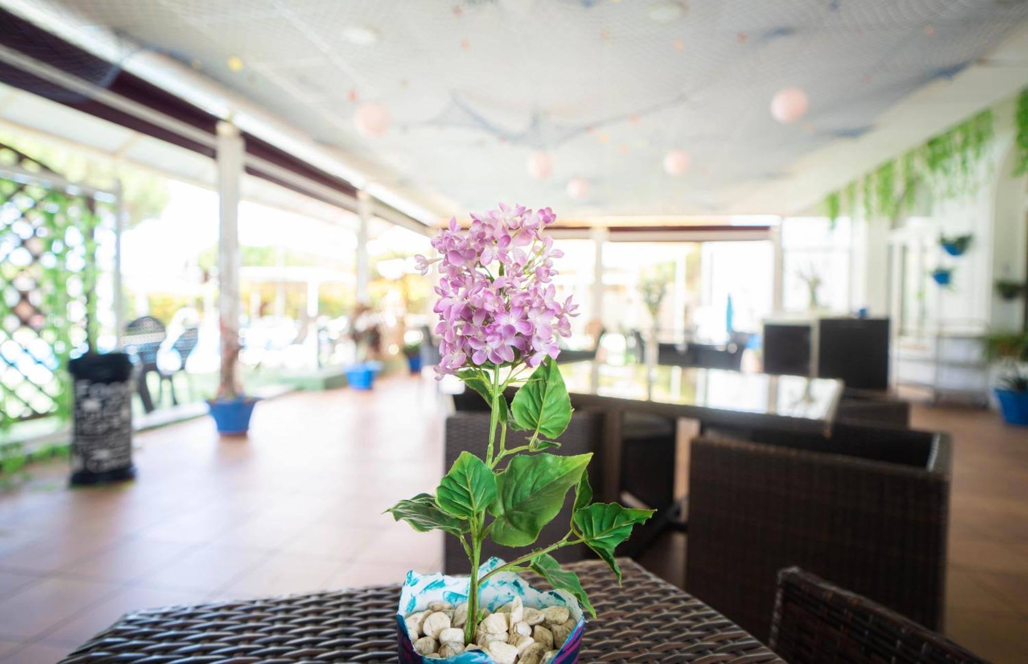 Mazagón Hotel Albaida Nature מראה חיצוני תמונה